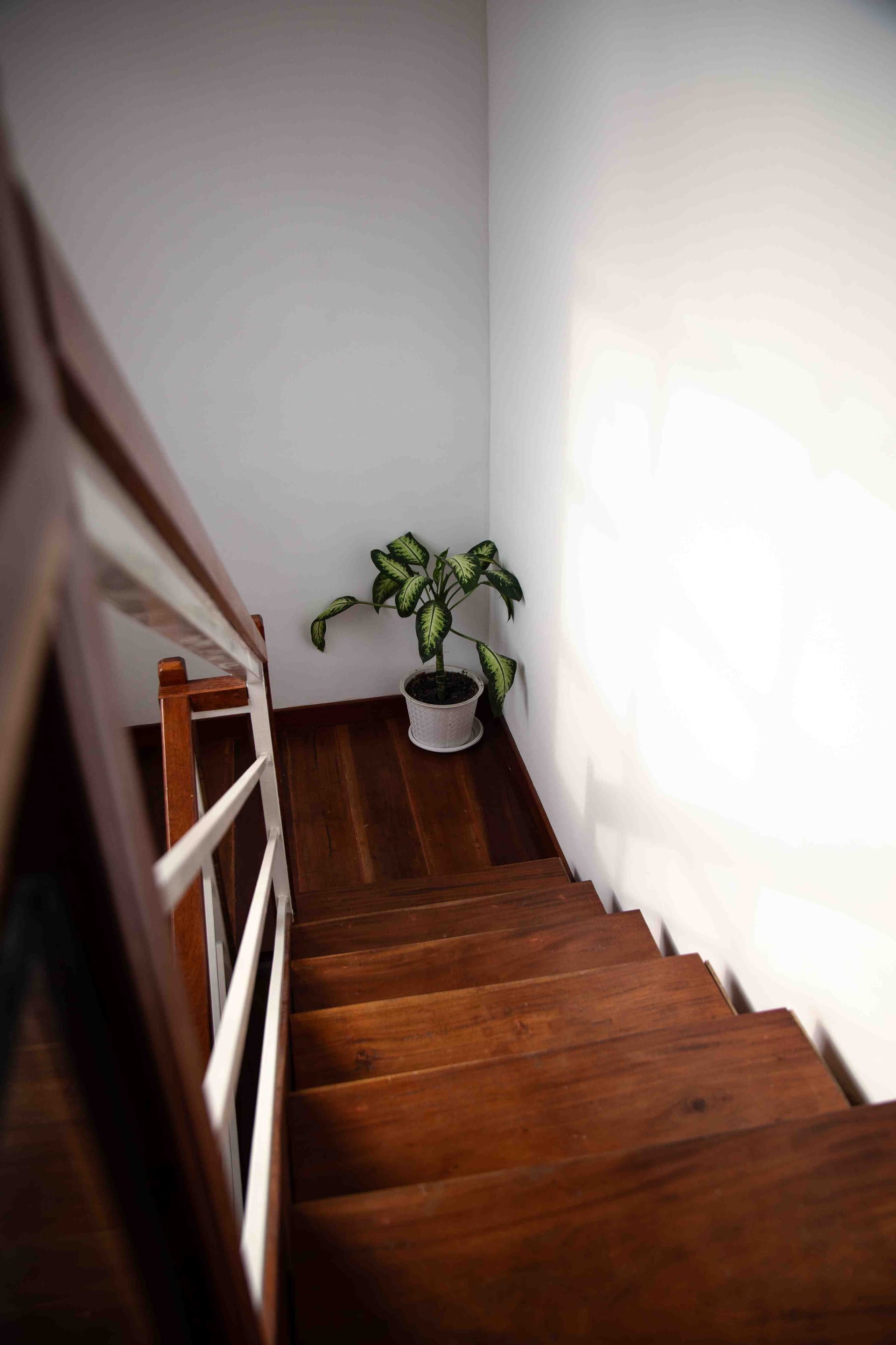 Villa Markisa Photo 10