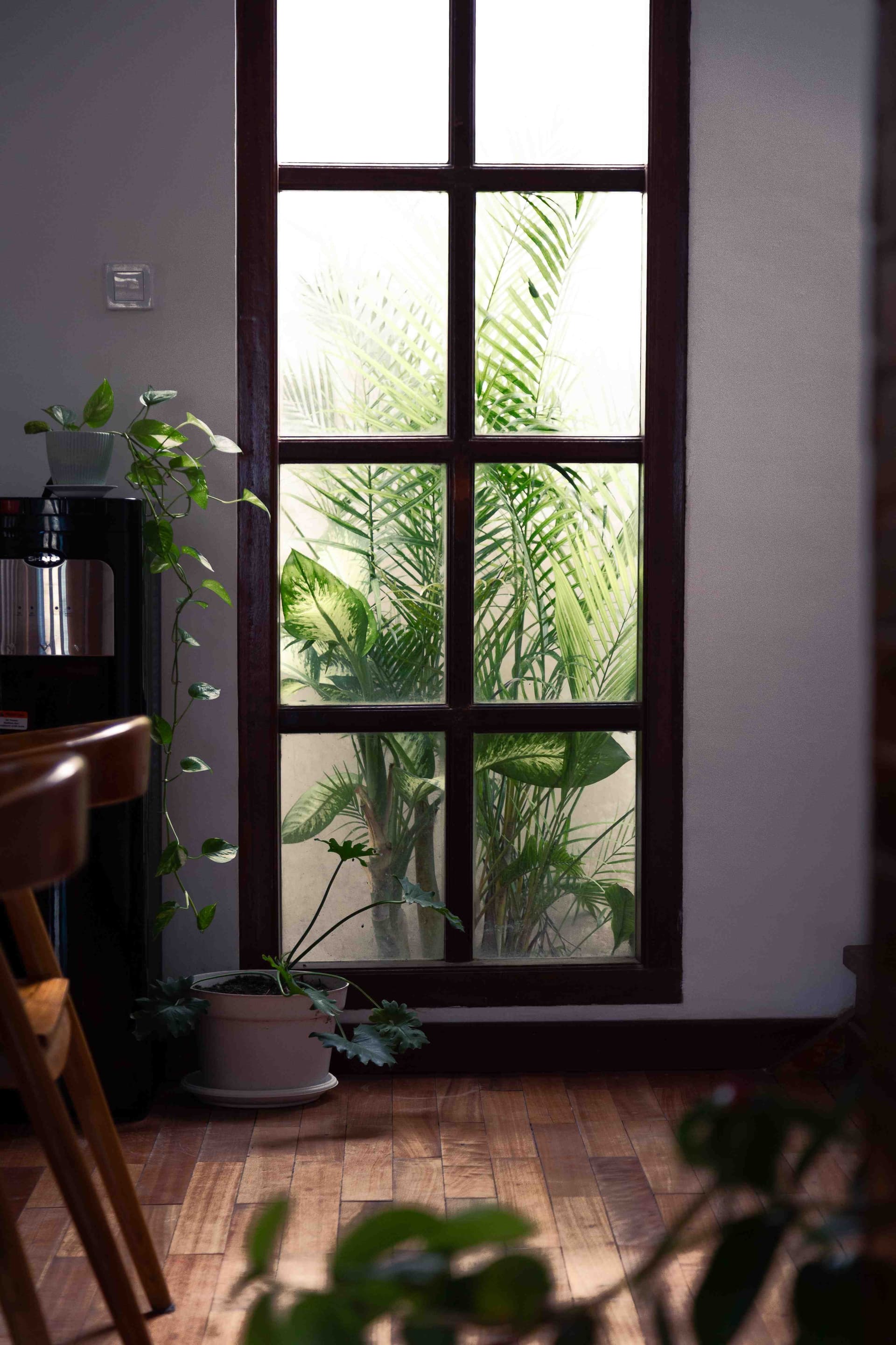 Villa Markisa Photo 14