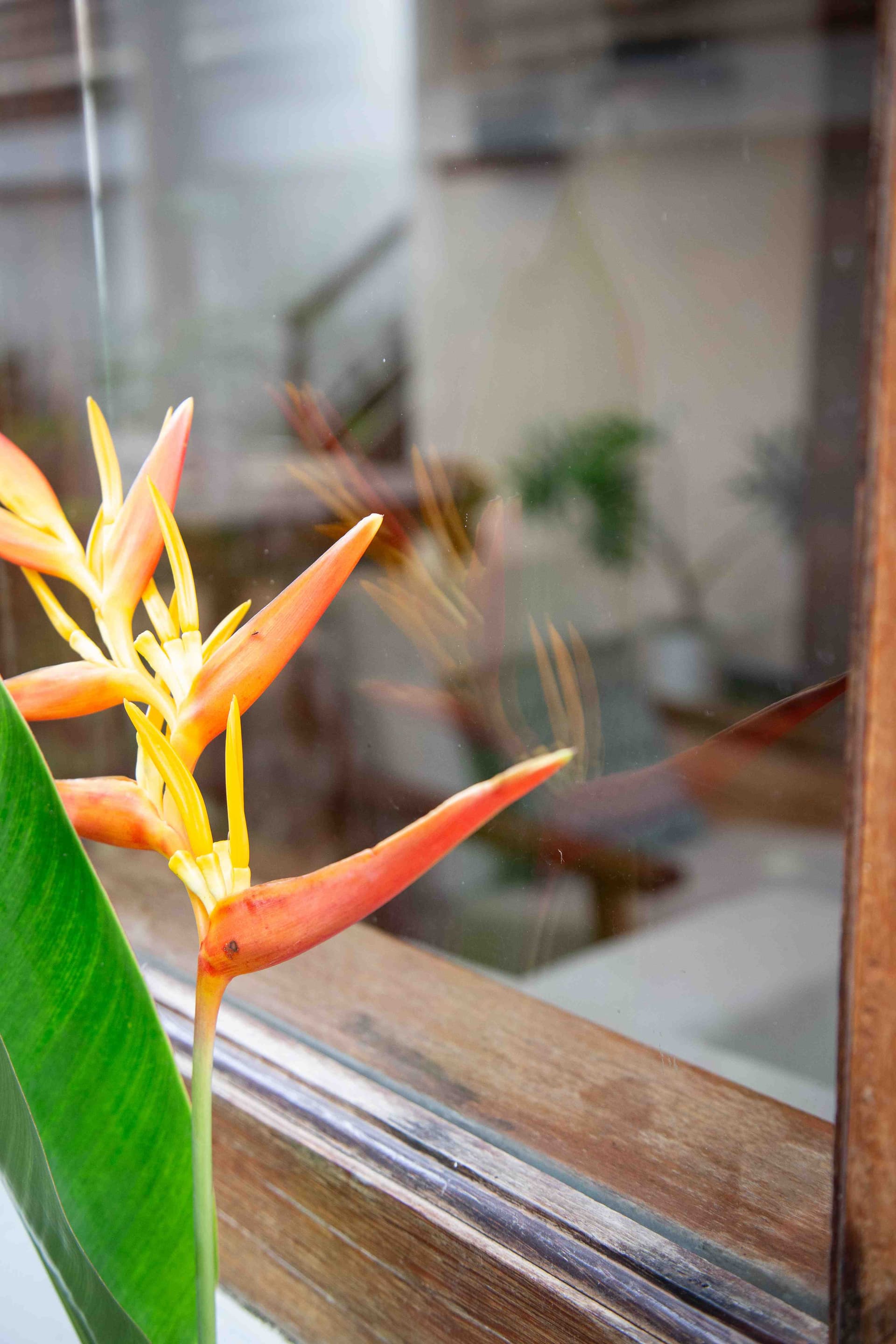 Villa Markisa Photo 16