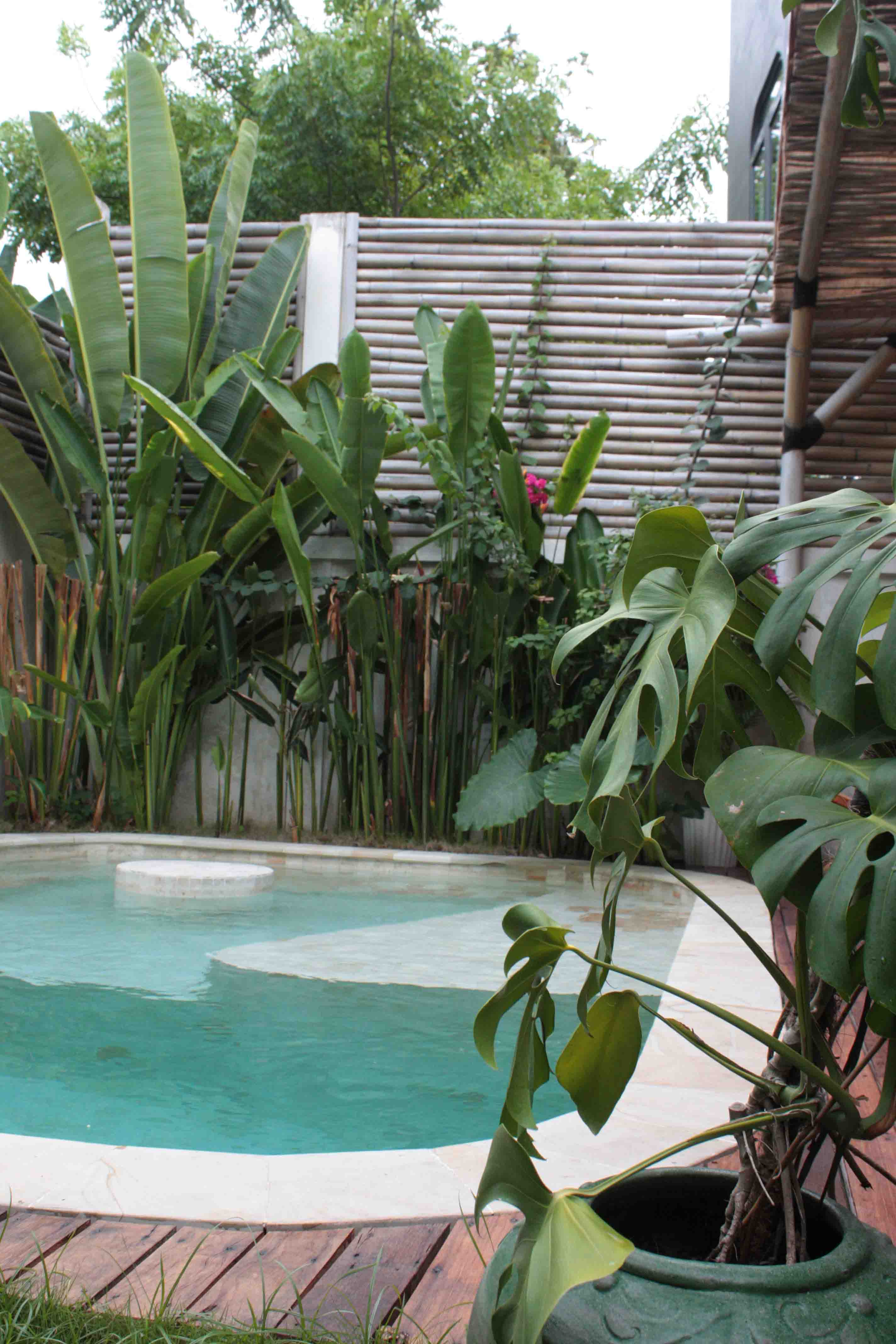 Villa Markisa Photo 26